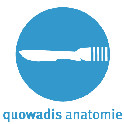 (c) Quowadis-anatomie.de